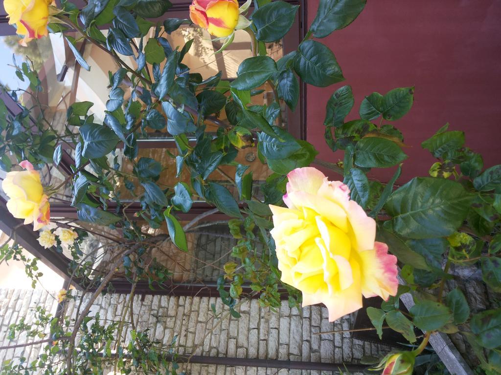 B&B Villa Acero Marina Di Carrara Luaran gambar